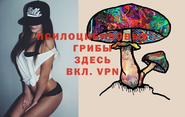 дмт Белоозёрский